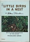 Little Birds in a Nest