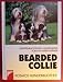 Bearded Collie