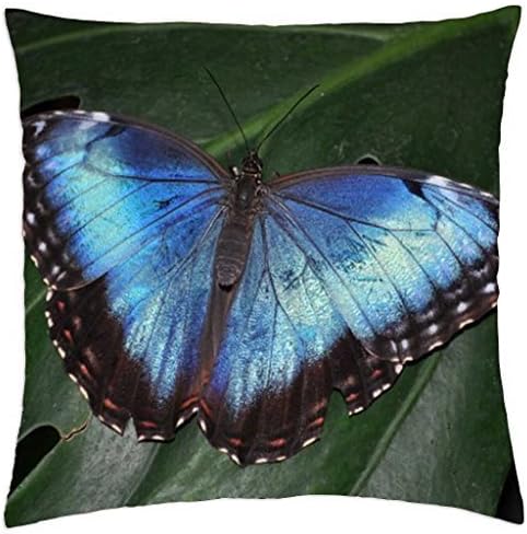 BLUE MORPHO BUTTERFLY - Throw Pillow Cover Case (18