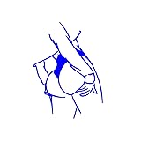 Sexy Girl Body Cute Buttocks Sticker Fat Ass Vinyl