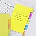 Eagle Divider Sticky Notes 60 Ruled Notes, 4 x 6 Inches, Assorted Neon Colors (1-Pack)