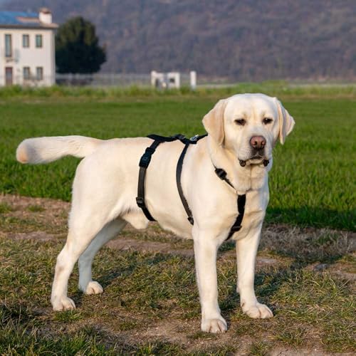 Arnês grande para cães Brave, arnês ajustável de 6 pontos, anti-fuga, anti-pânico, tamanho L, castanho.