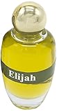 Spring Nahal Anointing Oil 12ml - 0.4oz Ein Gedi