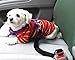 Relgard Dog Seat Belt