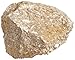 American Educational Buff Fossiliferous Limestone Sedimentary Rock, 1 Kg