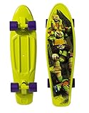 PlayWheels Teenage Mutant Ninja Turtles 21'' Kids Complete Plastic Skateboard