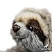 LuLezon Very Soft Three Toed Sloth Plush Stuffed Animal Toy 12.5 inch