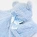 Gund Baby My First Teddy Comfy Cozy Baby Blanket, Blue