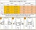 Waist Trainer Women - Waist Cincher Trimmer - Slimming Body Shaper Belt - Sport Girdle Belt