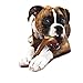 Nylabone Femur Bone Rawhide Alternative Power Chew Durable Dog Toy Femur Bacon Large/Giant (1 Count)