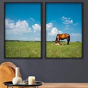 signwin 2 Piece Framed Canvas Wall Art Horse...