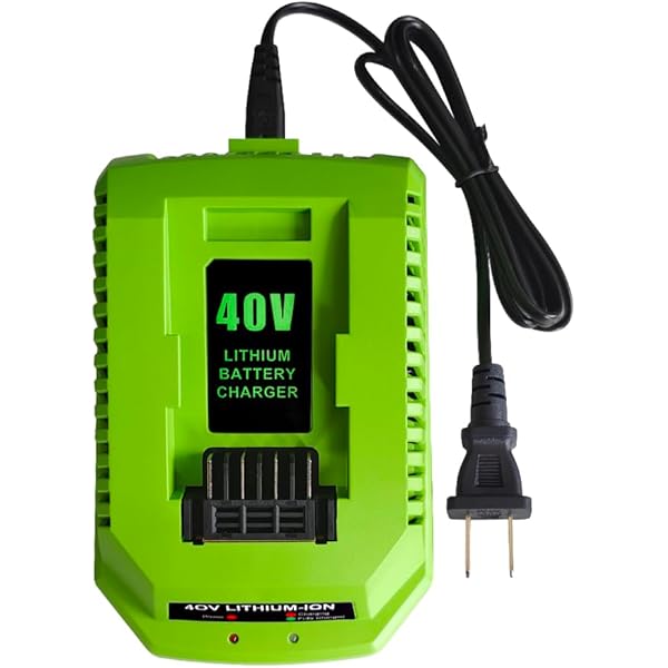 Replacement Charger Compatible with Greenwks 40V Battery Charger  