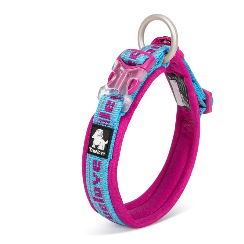 WINHYEPET True Love Reflective Dog Collar, Nylon Webbing Comfortable and Safe Adjustable Buckle convenient used for walking for Small Dogs Neck Ring TLC50121 (Sky Blue/Fushcia,L)