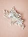 AW BRIDAL Wedding Hair Clip Flower Crystal Hair Veil Comb Bridal Hair Accessories for Women (Sliver)