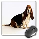 3D Rose"Handsome Basset Hound" Matte Finish Mouse