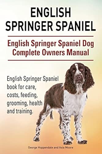 English Springer English Springer Spaniel Dog Complete