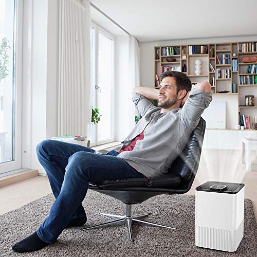 Nobebird A8 hepa-Filter-air-purifiers White