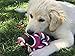 Dog Rope Tug Toy - Tennis Balls - For Medium Size Dogs and Teething Puppies; Best for Tug-of-War, Fetch, Puppy Training, Indoor or Outdoor Play; Promotes Dental Health and Exercise