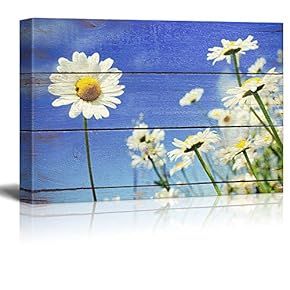 A Lone Daisy Faces Camera - Rustic Floral Arrangements - Pastels Colorful Beautiful - Wood Grain Antique - Canvas Art Home Art - 12x18 inches
