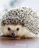 Journal: Hedgehog by Dreamflight Publications
