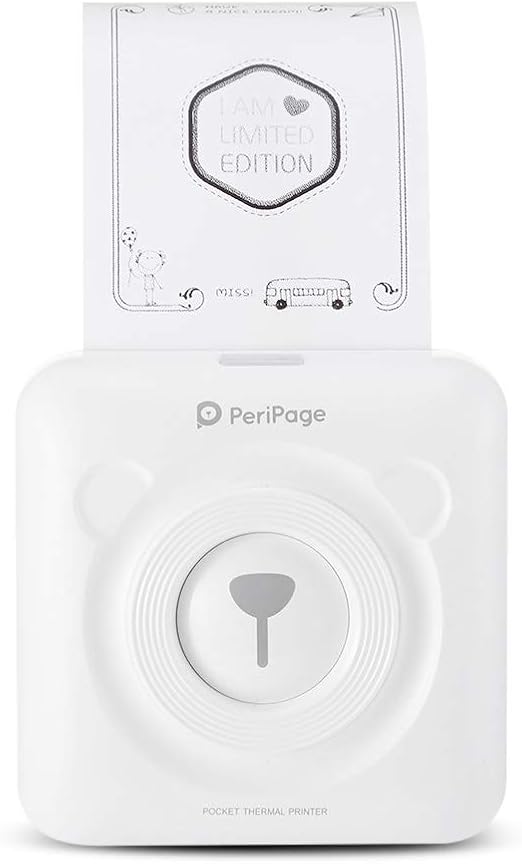 portable smart printer