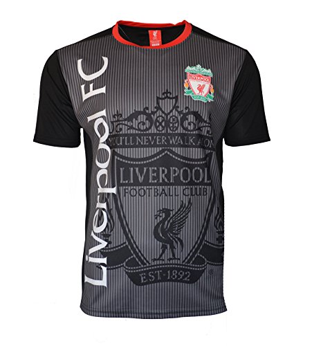 image for ICON SPORTS Liverpool Soccer Jersey Adult Training Custom Name and Num