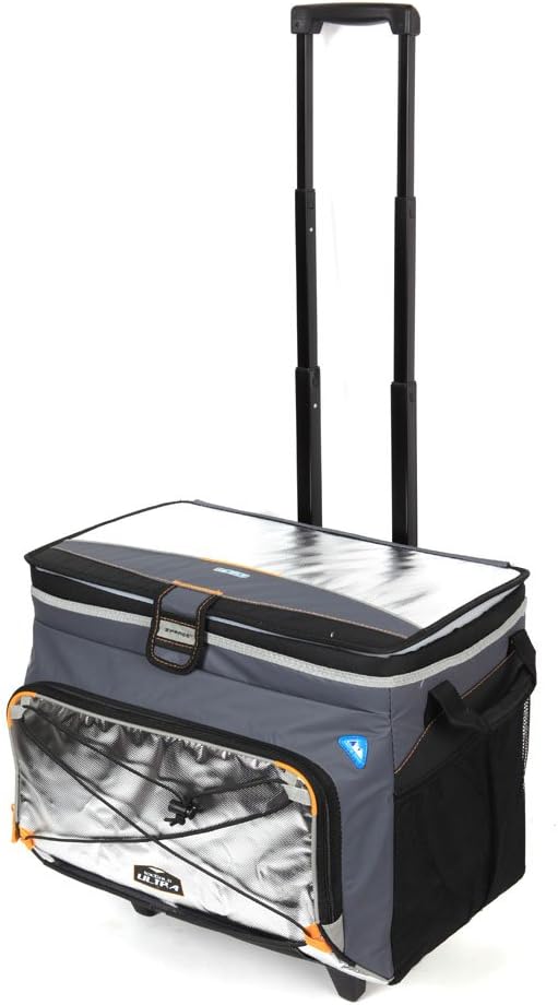 ice cold by arctic zone