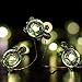 WSgift Turtle Decorative String Lights 13 Ft 40 LED Weatherproof Battery Operated 8 Modes Turtle Fairy Lights for Holiday Weddings Bedrooms Party Decorations with Remote and Timer (Warm White)