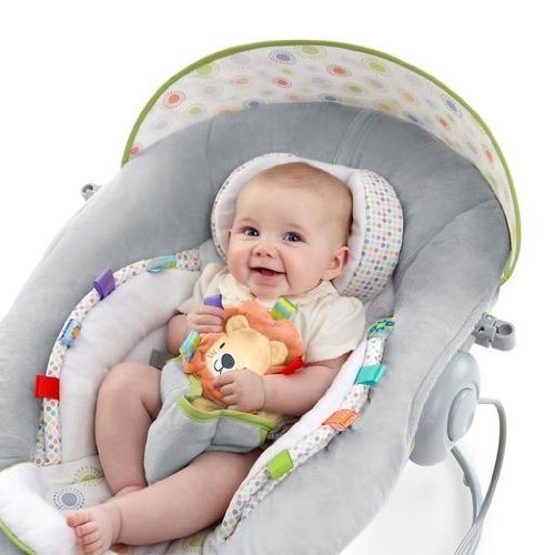taggies soft n snug bouncer