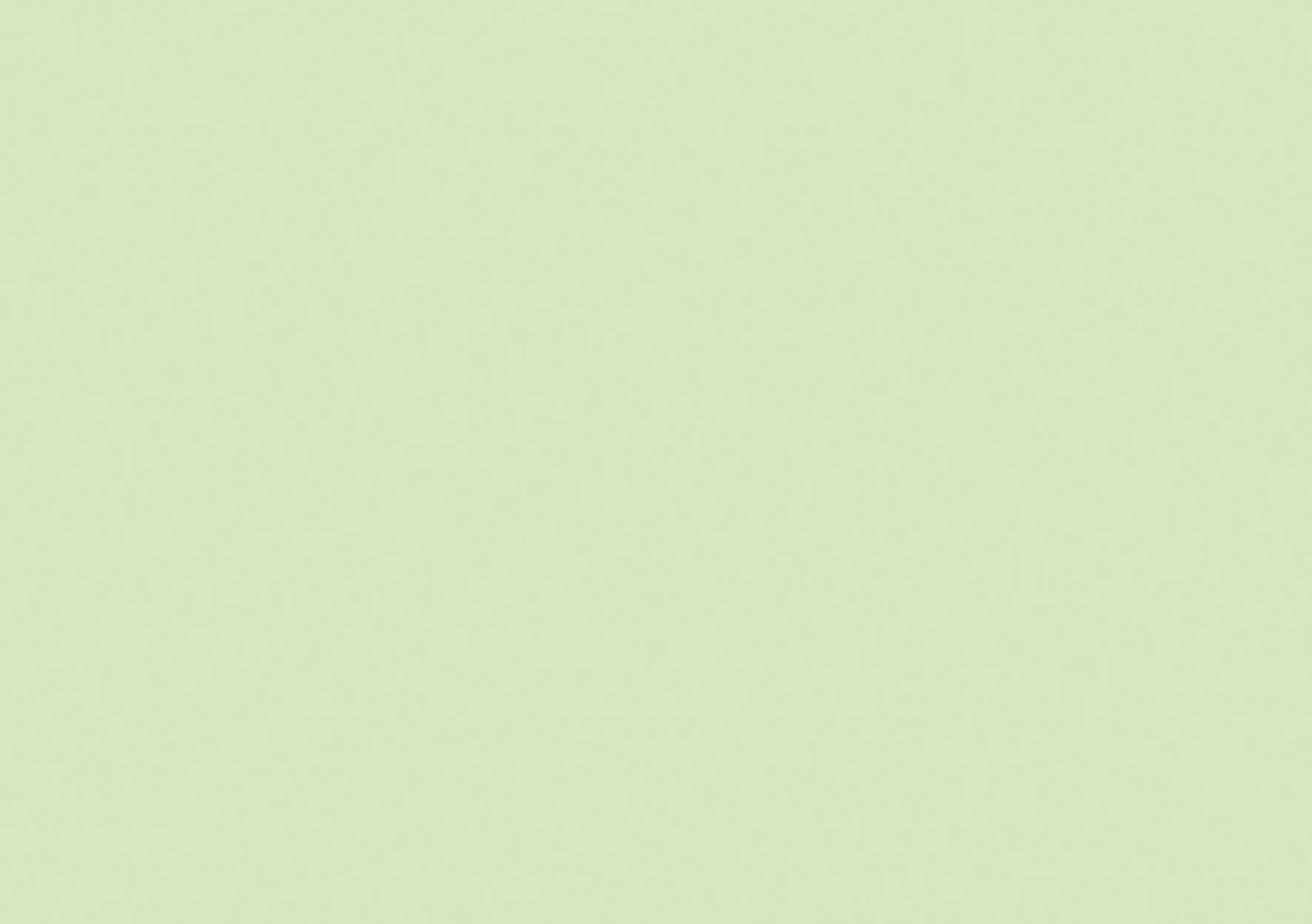 Baier & Schneider Index Card, A7 Landscape Cardboard 180 g/m² Green