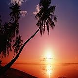 HAWAIIAN BREEZE FRAGRANCE OIL - 2 OZ - FOR CANDLE & SOAP MAKING BY VIRGINIA CANDLE SUPPLY - FREE S&H IN USA