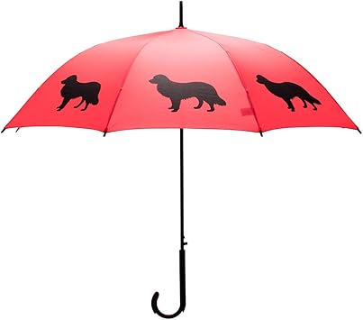 border collie umbrella