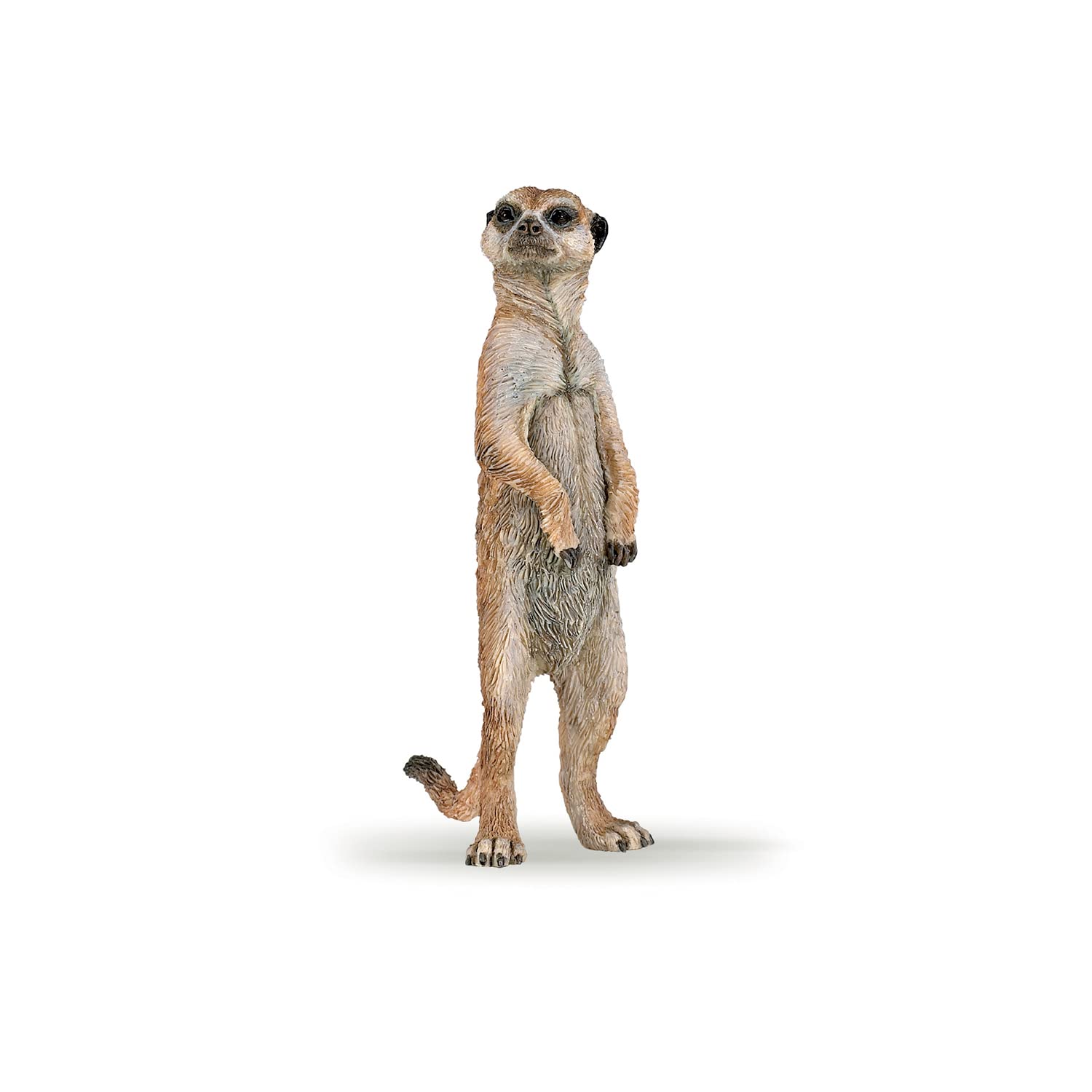 Papo - Meerkat Figurine - Wild Animal Toy for Kids Age 3+ - Hand-Painted Standing Sentinel Model - Realistic Savannah Animal - Educational Wildlife Figure - 5 x 2 x 7 cm - 50206