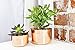 Alchemade 100% Pure Hammered Copper Planter (3