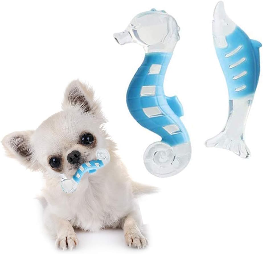 puppy teething breath