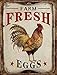 Barnyard Designs Retro Vintage Metal Tin Bar Sign, Decorative Wall Art Signage, Primitive Farmhouse Country Kitchen Home Décor (Fresh Eggs)