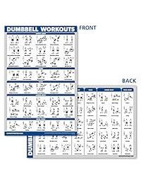 Juego de póster para entrenamiento y ejercicio de mancuernas QuickFit   Juego de 2 gráficos laminados   Mancuernas para ejercicios rutinarios y de estabilidad yoga