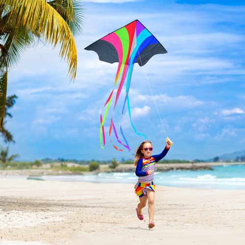 Stoie's Giant Rainbow Delta Kite for Adults, Kites for Kids Ages 48