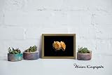 Alison Kingsgate Sleek 10x8 Picture Frame with Shatterproof Perspex Front Gold view 7