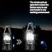 LED Camping Lantern, Costech Portable Brightest Outdoor Emergency Light with Batteries for Camping, Hiking, Fishing, Hurricane, Storm, Outage (1 PACK)