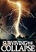 Surviving the Collapse: A Tale Of Survival In A Powerless World- Book 2