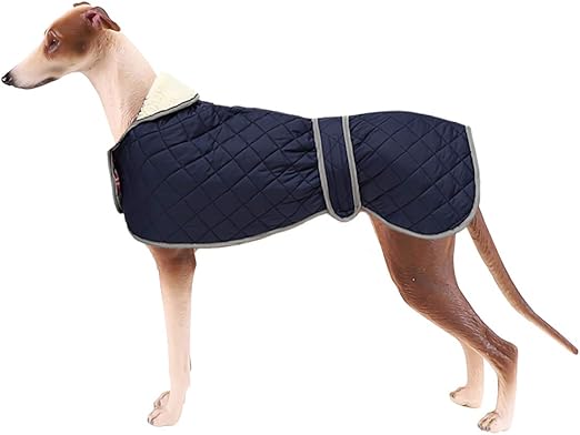 whippet life jacket