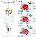 Hyperikon LED A19 Dimmable Bulb, 9.5W (60W Equivalent), ENERGY STAR approved, 3000K (Soft White Glow), CRI90+, 820 Lumens, Medium Screw Base (E26), UL-Listed