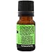 GreenHealth Peppermint Essential Oil (Mentha piperita) - 100% Pure - 10 ml (0.33 fl oz)