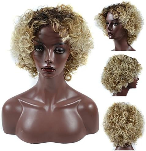 Pengma New Chic African American Kinky Curly Women Wigs for Black Women