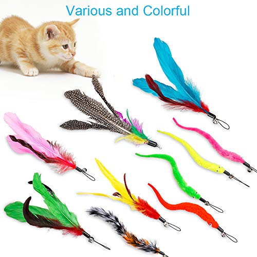 5 JIARON+Retractable+Replacement+Interactive+Exercise