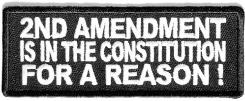 2nd Amendment Is for a Reason Iron on Gun Patch 4x1.5 Inch