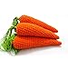 Raylans Baby Kids Child Cute Crochet Knit Fruit Vegetable Toy Photo Photography Props,Carrot