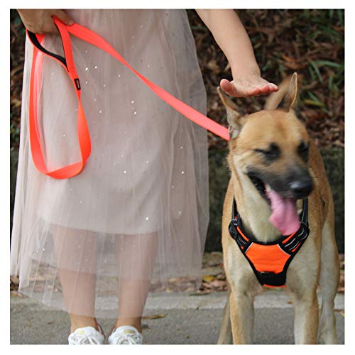 Dog Harness No Pull Dog Vest with Leash Adjustable & Reflective Pet Vest Harnesses and Leash Easy Control for Small Medium Large Dogs (Medium, Orange) - Thumbnail 5
