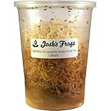Josh's Frogs Flightless Drosophila Hydei Fruit Fly Cultures